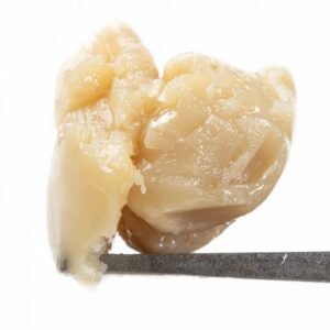 import placeholder for 293